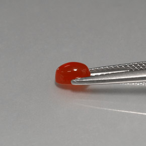 Cornaline Rouge orange naturelle Transparent, 0.57 ct, Transparent / Translucide
