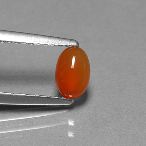 Cornaline Orange naturelle Transparent, 0.49 ct, Transparent / Translucide