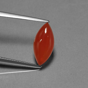 Cornaline orange naturelle transparent, 3,11 ct, transparent / translucide