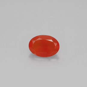 Cornaline rouge orangé naturelle transparent, 0,64 ct, transparent / translucide