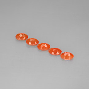 Achetez naturel ct Orange Cornaline gems, Transparent, En provenance Madagascar chez GemSelect. En stock, livraison internationale!