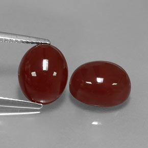 Achetez naturel ct rouge cornaline gems, coupe ovale, en provenance inde chez gemselect. en stock, livraison internationale!
