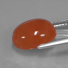 Cornaline Orange naturelle Coupe ovale, 5.13 ct, Translucide