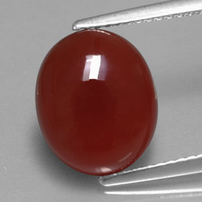 Cornaline rouge naturelle coupe ovale, 4,71 ct, translucide