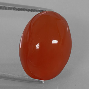Cornaline orange naturelle transparent, 15,49 ct, transparent / translucide