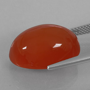 Cornaline orange naturelle transparent, 15,49 ct, transparent / translucide