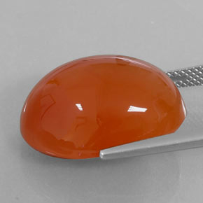 Cornaline orange naturelle coupe ovale, 18,75 ct, translucide