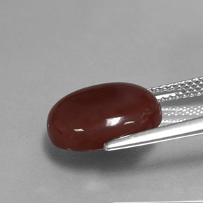 Cornaline marron naturelle coupe ovale, 5,81 ct, translucide