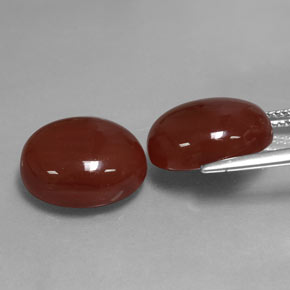 Achetez naturel ct marron cornaline gems, coupe ovale, en provenance inde chez gemselect. en stock, livraison internationale!