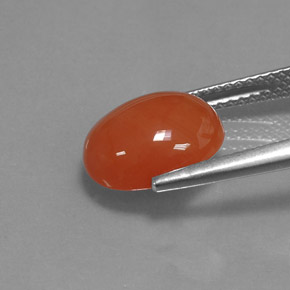 Cornaline orange naturelle coupe ovale, 3,33 ct, translucide