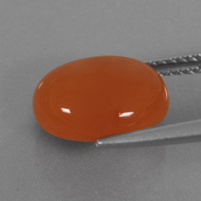 Cornaline orange naturelle transparent, 3,65 ct, transparent / translucide
