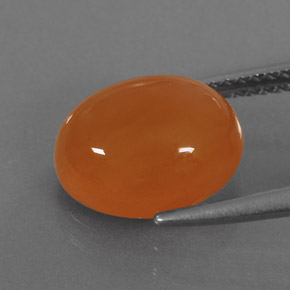 Cornaline orange naturelle transparent, 3,91 ct, transparent / translucide