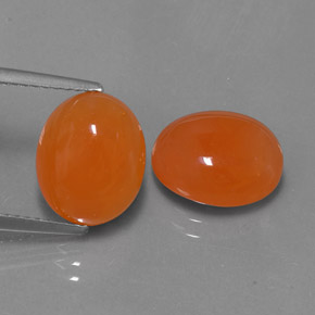 Achetez naturel ct Orange Cornaline gems, Transparent, En provenance Inde chez GemSelect. En stock, livraison internationale!