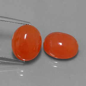 Achetez naturel ct Orange Cornaline gems, Transparent, En provenance Inde chez GemSelect. En stock, livraison internationale!