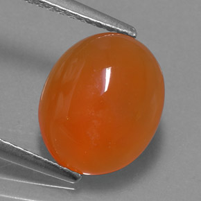 Cornaline orange naturelle transparent, 3,51 ct, transparent / translucide