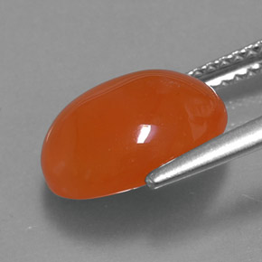 Cornaline orange naturelle transparent, 3,51 ct, transparent / translucide