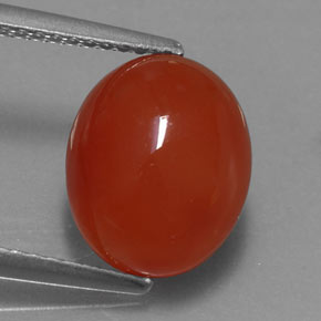 Cornaline orange naturelle transparent, 3,67 ct, transparent / translucide