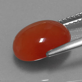 Cornaline orange naturelle transparent, 3,67 ct, transparent / translucide