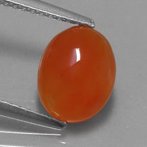 Cornaline orange naturelle transparent, 1,84 ct, transparent / translucide