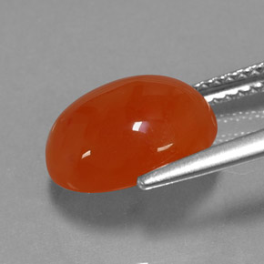 Cornaline orange naturelle transparent, 3,80 ct, transparent / translucide