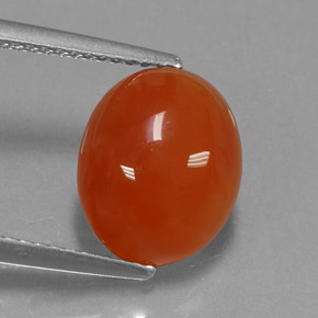 Cornaline orange naturelle transparent, 3,43 ct, transparent / translucide