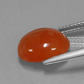 Cornaline orange naturelle transparent, 3,43 ct, transparent / translucide