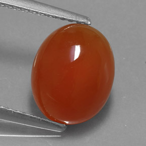 Cornaline orange naturelle transparent, 3,44 ct, transparent / translucide
