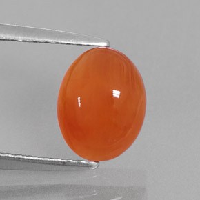 Cornaline orange naturelle transparent, 1,82 ct, transparent / translucide