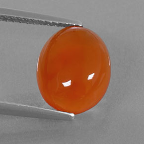 Cornaline Orange naturelle Transparent, 3.17 ct, Transparent / Translucide