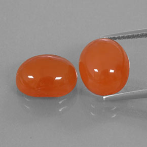 Achetez naturel ct Orange Cornaline gems, Transparent, En provenance Inde chez GemSelect. En stock, livraison internationale!