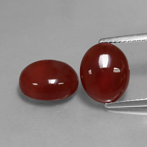 Achetez naturel ct rouge cornaline gems, coupe ovale, en provenance inde chez gemselect. en stock, livraison internationale!