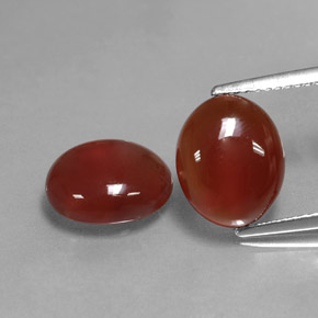 Achetez naturel ct Rouge Cornaline gems, Coupe ovale, En provenance Inde chez GemSelect. En stock, livraison internationale!