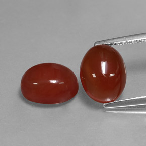 Achetez naturel ct rouge cornaline gems, coupe ovale, en provenance inde chez gemselect. en stock, livraison internationale!
