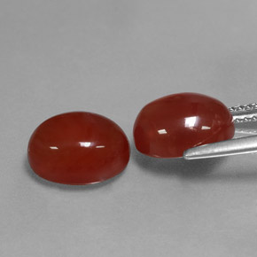 Achetez naturel ct rouge cornaline gems, coupe ovale, en provenance inde chez gemselect. en stock, livraison internationale!