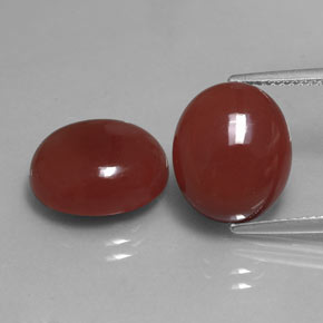 Achetez naturel ct rouge cornaline gems, coupe ovale, en provenance inde chez gemselect. en stock, livraison internationale!