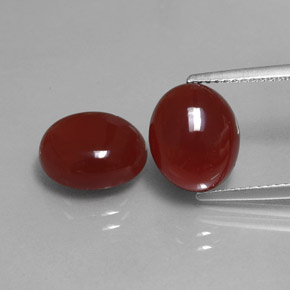 Achetez naturel ct Rouge Cornaline gems, Coupe ovale, En provenance Inde chez GemSelect. En stock, livraison internationale!