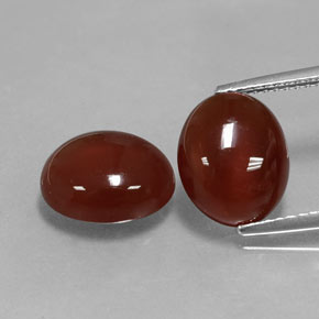 Achetez naturel ct rouge cornaline gems, coupe ovale, en provenance inde chez gemselect. en stock, livraison internationale!