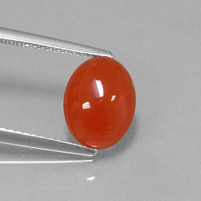 Cornaline Rouge orange naturelle Coupe ovale, 2.59 ct, Translucide