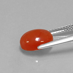 Cornaline Rouge orange naturelle Coupe ovale, 2.59 ct, Translucide
