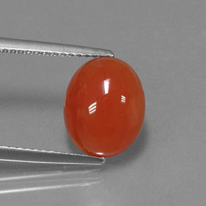Cornaline orange naturelle coupe ovale, 3,53 ct, translucide