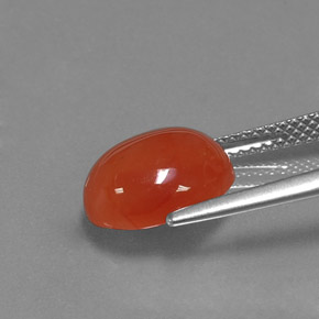 Cornaline orange naturelle coupe ovale, 3,53 ct, translucide