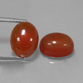 Achetez naturel ct orange cornaline gems, coupe ovale, en provenance inde chez gemselect. en stock, livraison internationale!
