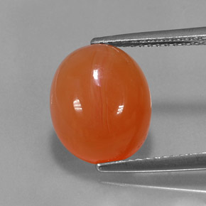 Cornaline Orange naturelle Transparent, 4.95 ct, Transparent / Translucide
