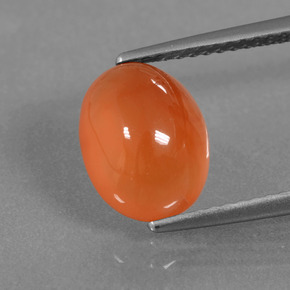 Cornaline Orange naturelle Coupe ovale, 2.76 ct, Translucide