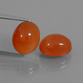Achetez naturel 8,54ct orange cornaline gems, coupe ovale, en provenance inde chez gemselect. en stock, livraison internationale!
