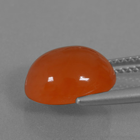 Cornaline Orange naturelle Coupe ovale, 3.84 ct, Translucide