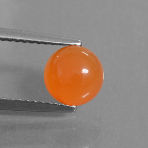 Cornaline Orange naturelle Coupe roude, 1.59 ct, Translucide