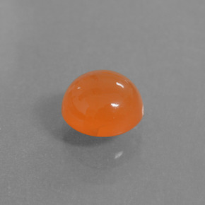 Cornaline Orange naturelle Coupe roude, 1.59 ct, Translucide