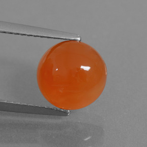 Cornaline Orange naturelle Coupe roude, 2.76 ct, Translucide