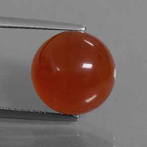 Cornaline orange naturelle coupe roude, 7,56 ct, translucide
